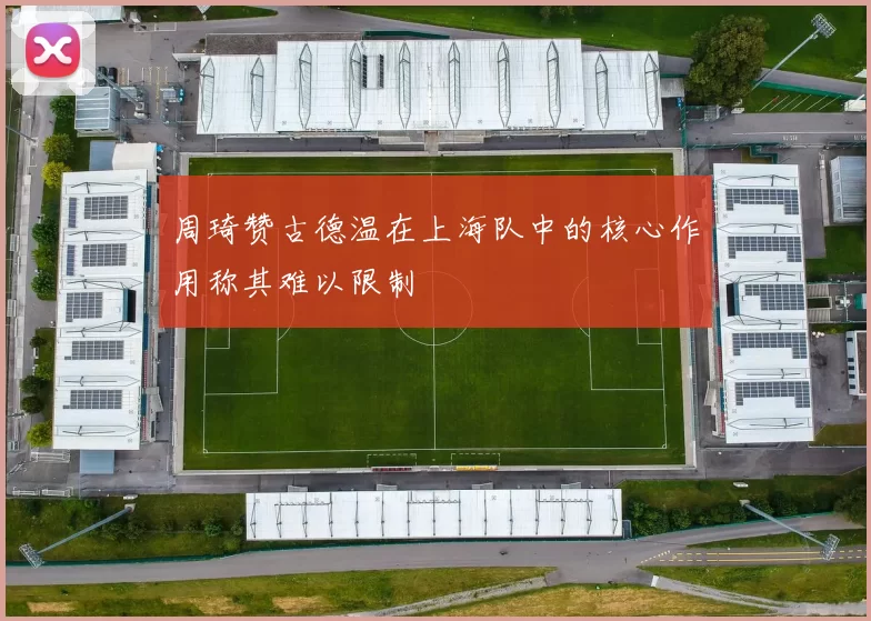 周琦赞古德温在上海队中的核心作用称其难以限制